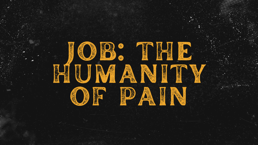 NEW SERMON SERIES – Job: The Humanity of Pain