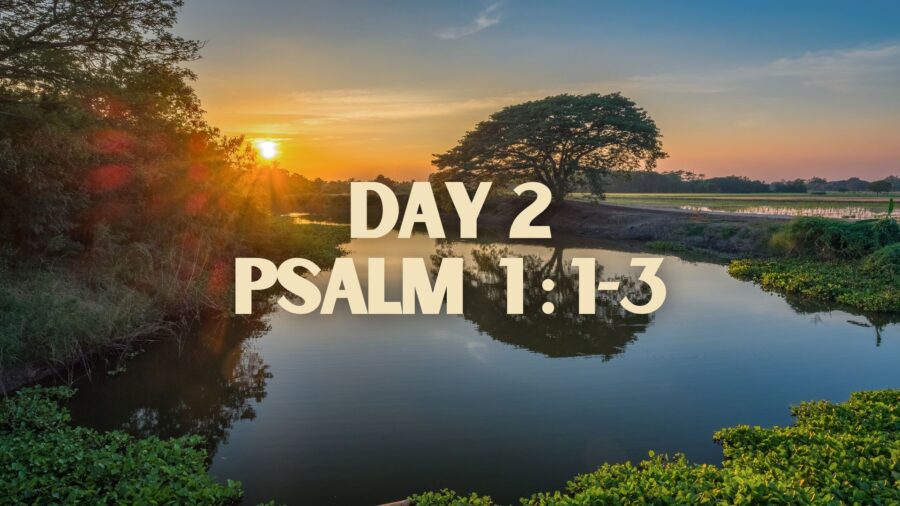 Day 2 – A Path Through Lent
