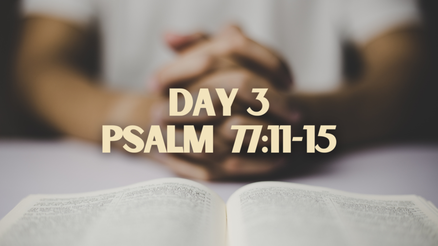 Day 3 – A Path Through Lent