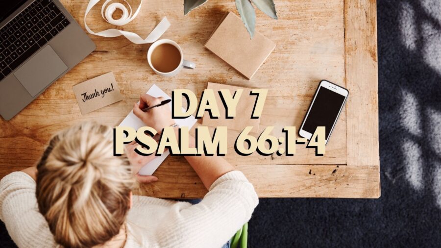 Day 7 – A Path Through Lent