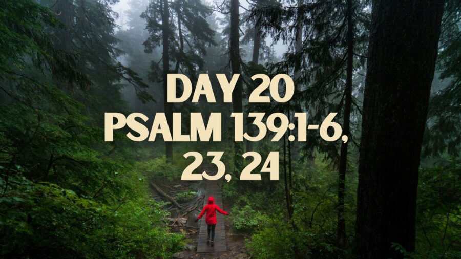 Day 20 – A Path Through Lent