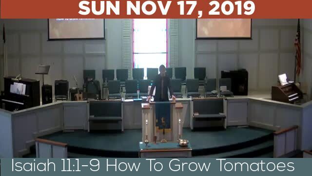 11/17/2019 Video recording of Isaiah 11:1-9 How To Grow Tomatoes